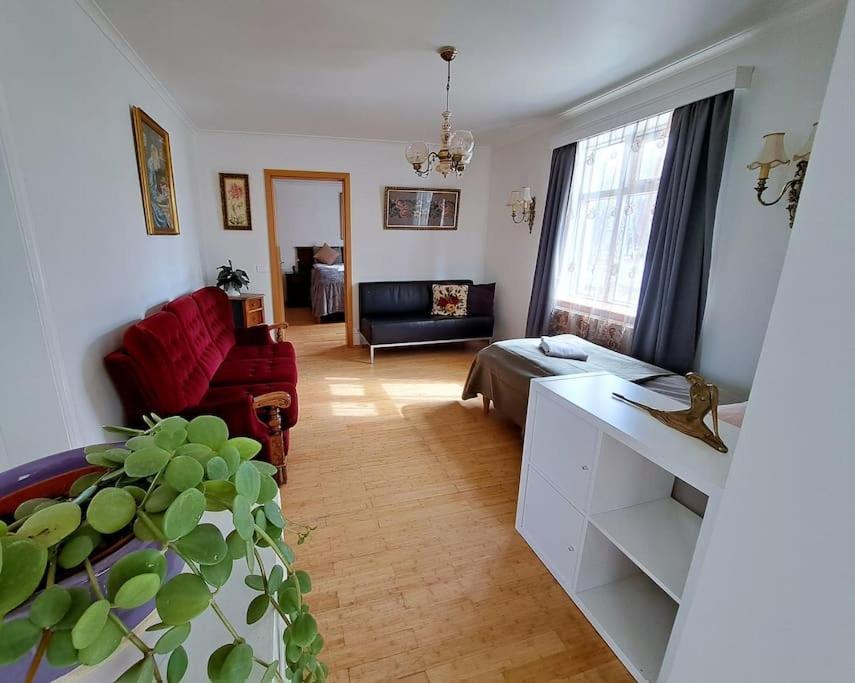 Spacious Apartment -Top Location Akureyri Eksteriør bilde